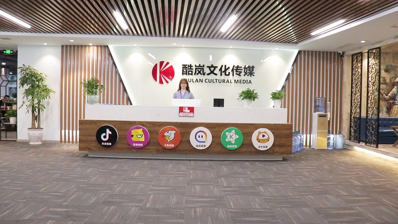 文化传媒公司注销流程解析：了解所需时间与注意事项